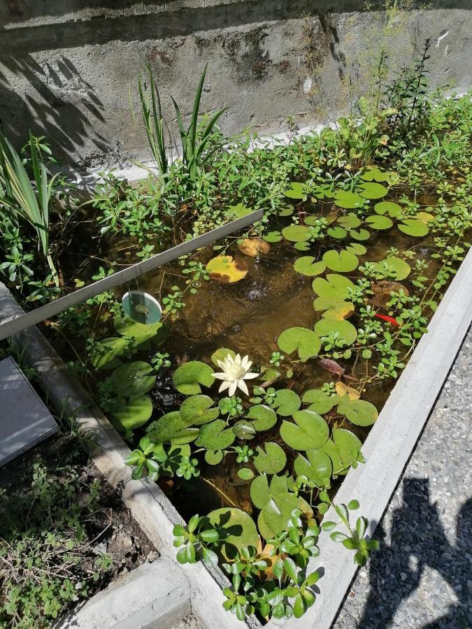 Aparthotel Il Giardino Di Elettra - Freeparking Janov Exteriér fotografie